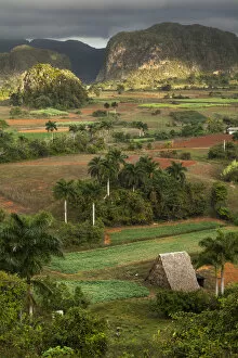 Images Dated 14th January 2013: Fields and farms in valley, Vinales, Cuba