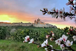Images Dated 8th March 2015: A fiery sunset over Mdina, Malta
