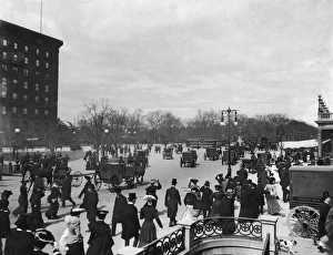 Carriage Collection: Fifth Avenue
