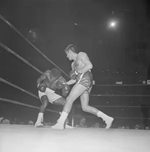 Fighters in the Ring