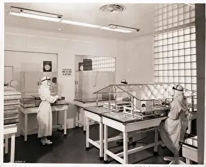Penicillin Prints: Filling Room in Plant