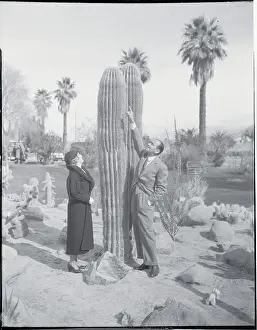 Film Stars with Tall Cactus