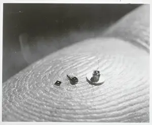 Waltham Prints: Finger Holding Microscopic Particles