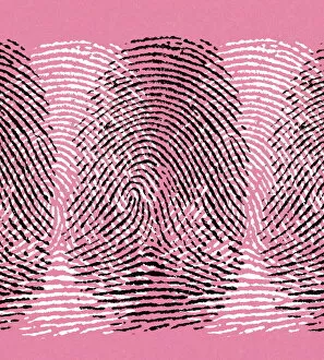 Images Dated 16th October 2003: Fingerprints