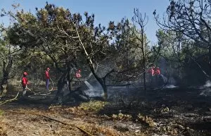 Fire brigade putting out a bush fire, near Melides, Alentejo region, Portugal