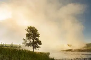 Firehole River in fog at sunrise, Yellowstone National Park, Wyoming, USA