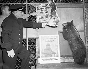 Fireman Gives Smokey the Bear a Helmet