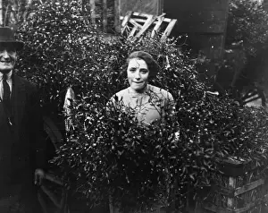 First Mistletoe