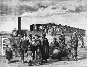 Train Rail Prints: First Train