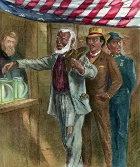 Elderly Prints: The First Vote by Alfred R. Waud