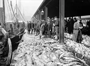 Auction Prints: Fish Auction