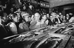 Collection Of Object Prints: Fish Auction
