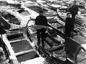 Occupations H Prints: Fish Market