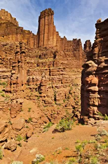 Images Dated 4th June 2011: Fisher Towers, Scenic Route 128, Utah, USA