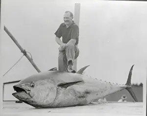 Fisherman with Large Tuna