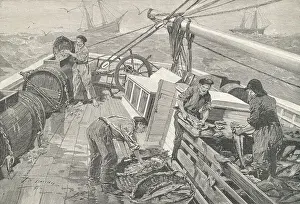 Busy Prints: Fisherman Preparing Fish