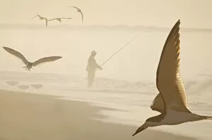 Images Dated 6th July 2010: Fisherman and shorebirds