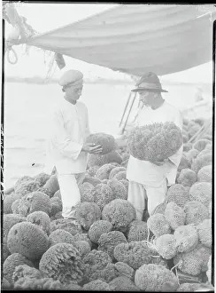 Patience Prints: Fishermen Examining Sponges