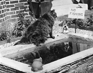 No Fishing