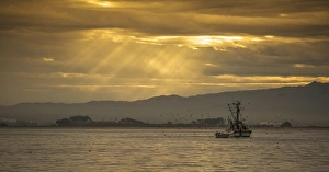 Pacific Gallery: Fishing Boat