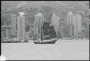 Fishing Boat Sailing in Hong Kong