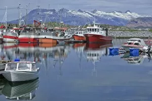 Fishing boats in the harbour of Vevelstadt, Stokkefjorden, Norway, Scandinavia, Europe