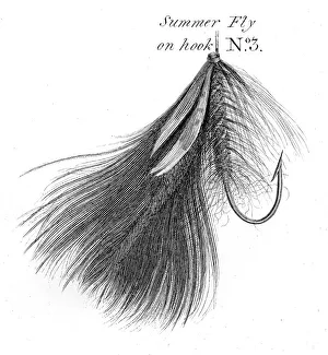 Images Dated 31st May 2015: Fishing hook engraving 1812