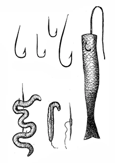 Stream Flowing Water Gallery: Fishing hooks with baits