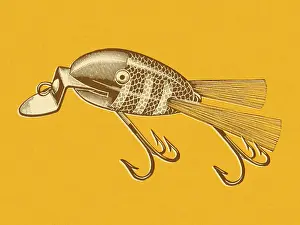 Fishing Lure
