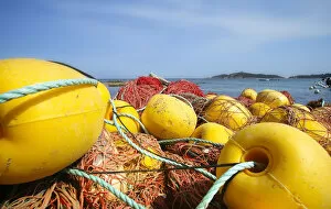 Images Dated 29th August 2014: Fishing net, Corsica, France