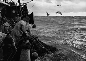 Fishing Boat Prints: Fishing Trawler