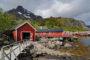 Scandinavian Culture Gallery: Fishing village Nusfjord