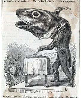 Podium Prints: Fishy Orator; Fish In Suit At Podium