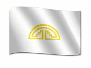 Organisation Gallery: Flag of the Andean Community