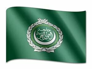 Organisation Gallery: Flag of the Arab League
