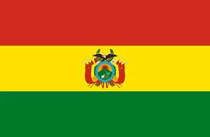 Images Dated 12th January 2014: Flag of Bolivia