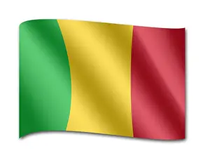 Mali Prints: Flag of Mali