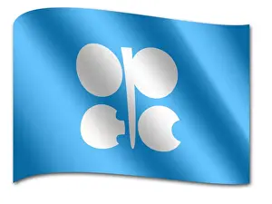 Cooperation Prints: Flag of the OPEC Organization of Petroleum Exporting Countries