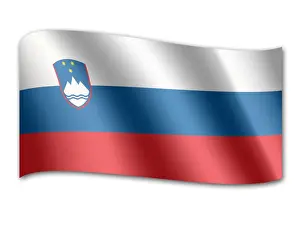 Slovenian Prints: Flag of Slowenia