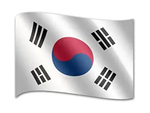 Flag of South Korea