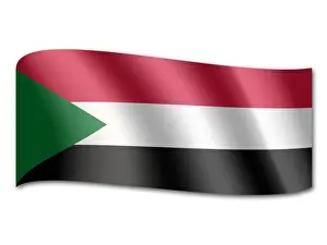 Sudanese Prints: Flag of Sudan
