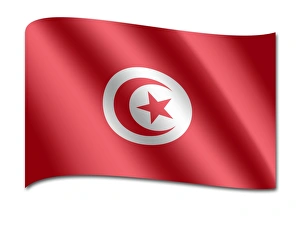 Tunisia Gallery: Flag of the Union of South American Nations