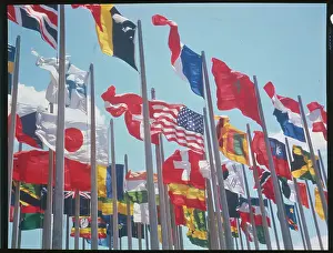 Flags of Different Countries