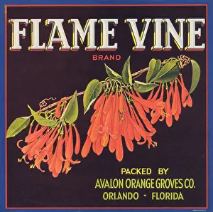 Oranges Prints: Flame Vine Brand