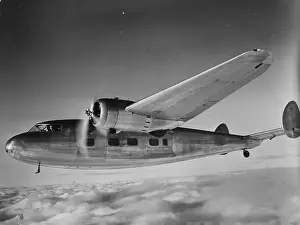 Air Transport Prints: Flamingo Airliner