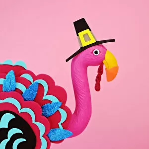 Images Dated 21st November 2017: flamingo in a turkey costume