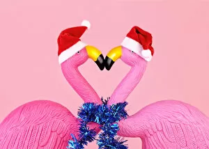 Images Dated 24th December 2017: Flamingos in Santa hats