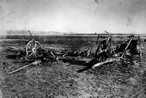 1 2 H War Prints: Flanders Field