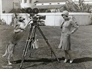 Filming Prints: Flash the Wonder Dog Filming Louise Lorraine