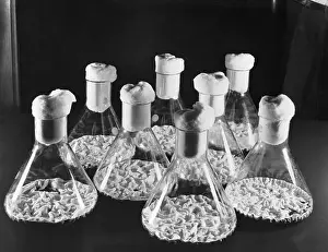 Material Prints: Flasks Of Charles Pfizer Co/Materials